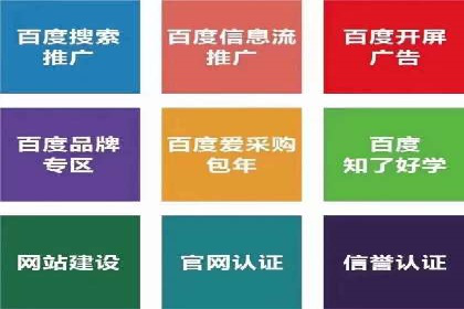 企业SEM服务实战案例解析