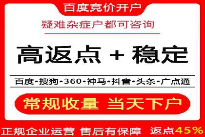 SEM服务公司助力品牌崛起案例